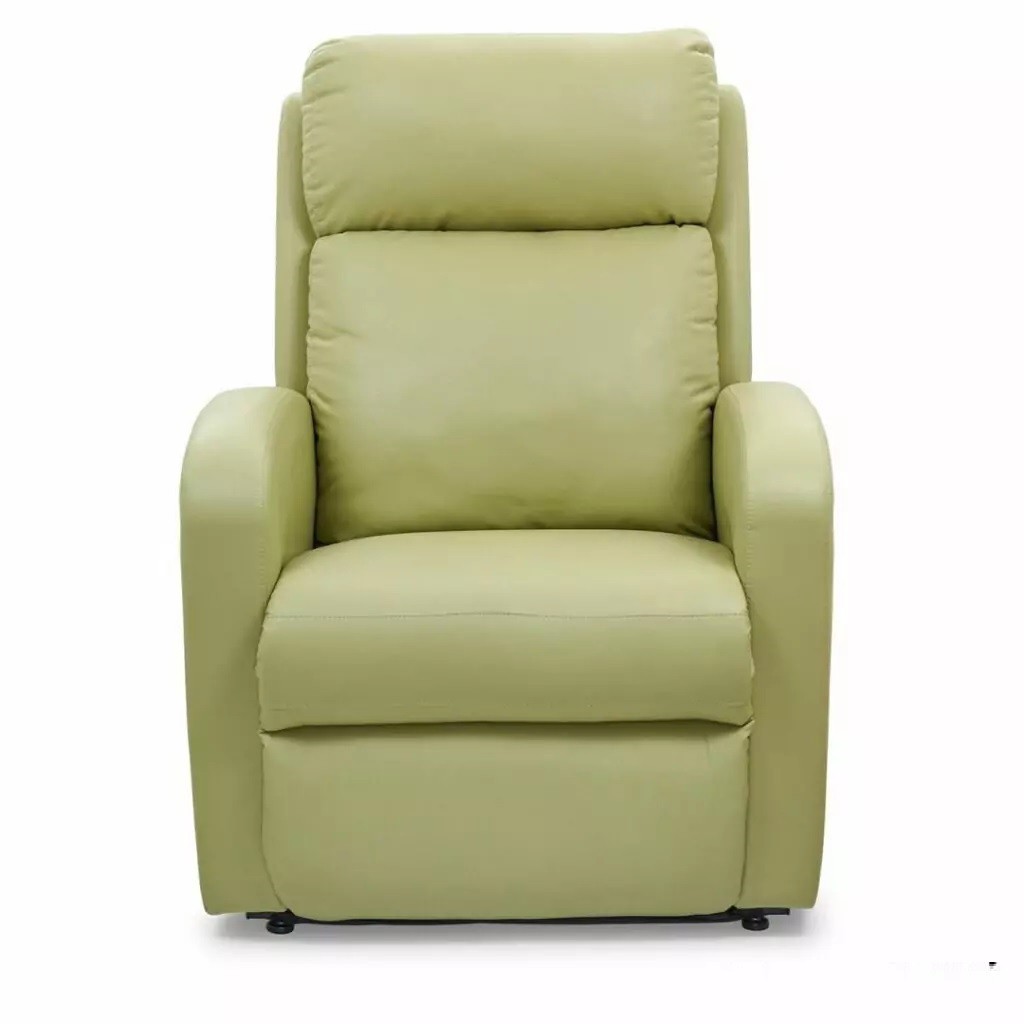 EZ Sleeper Slim PR763 Lift Chair Recliner By Golden Technologies 
Brisa Celery Fabric 