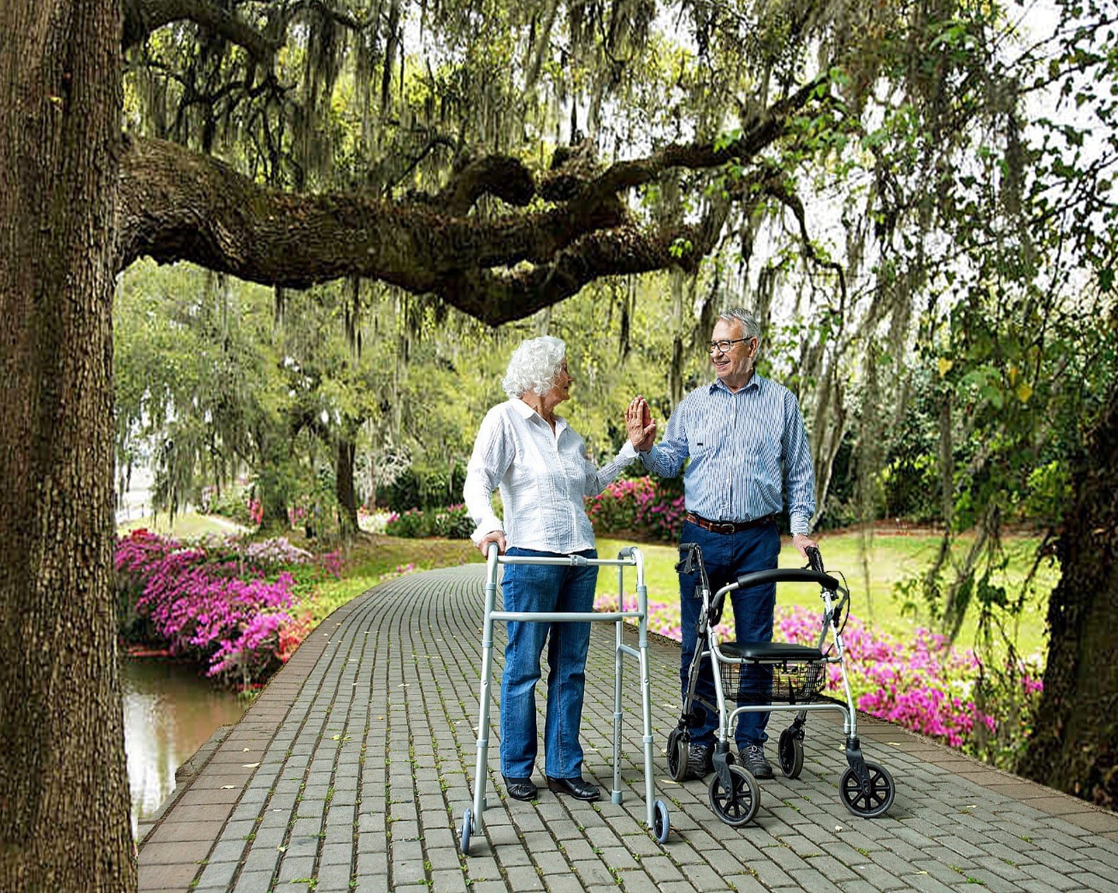 South Carolina Lifestyle Rollator Walker