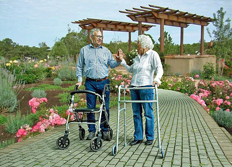 New Mexico Lifestyle Rollator Walker