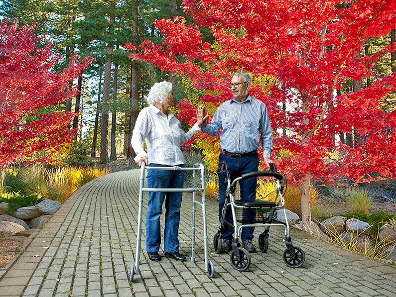 Nevada Lifestyle Rollator Walker