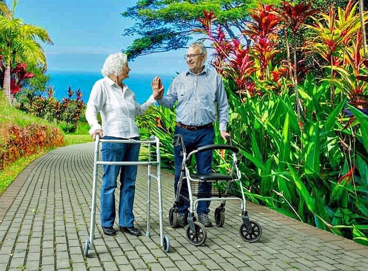 Hawaii Lifestyle Rollator Walker