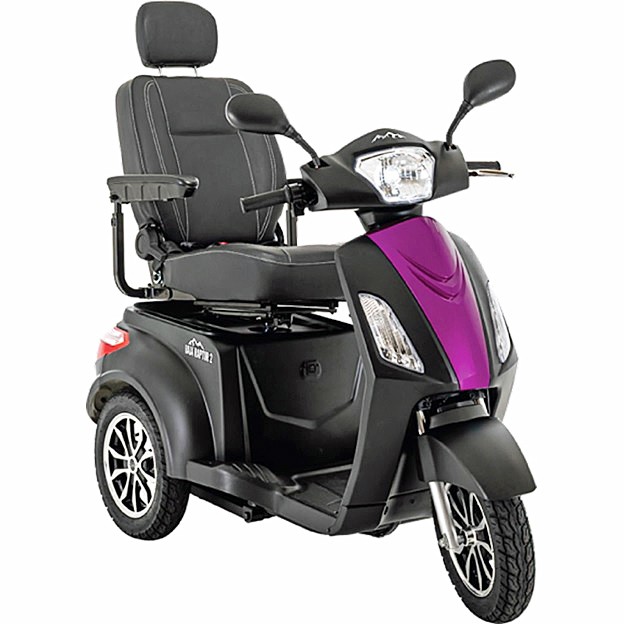 Baja™ Raptor® 2 3-Wheel Recreational Scooter Color: Matte Black With Purple Insert