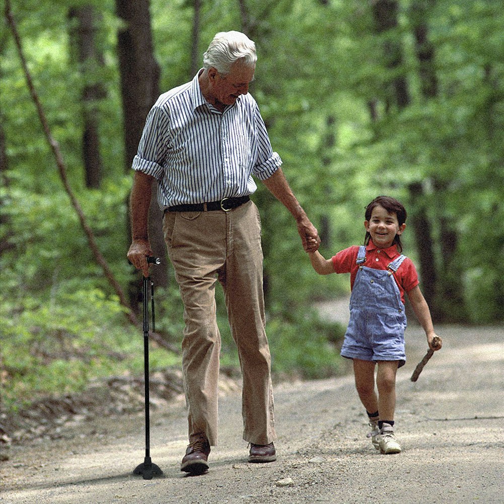 Walking Cane