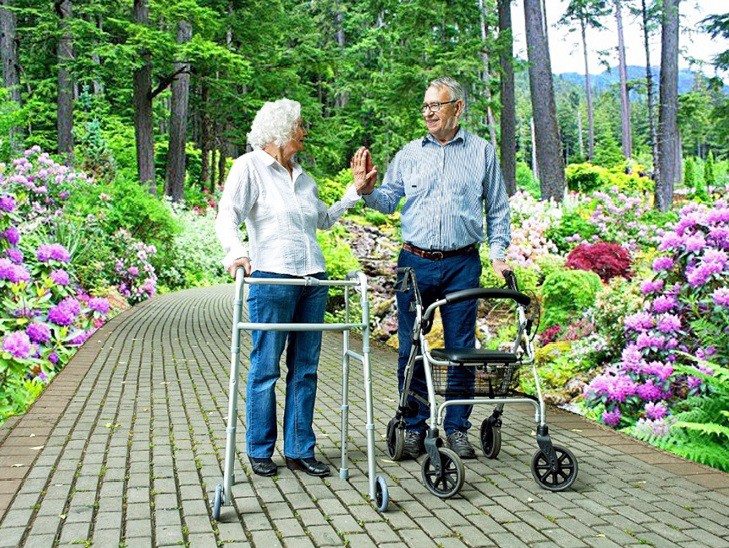 Alaska Lifestyle Rollator Walker