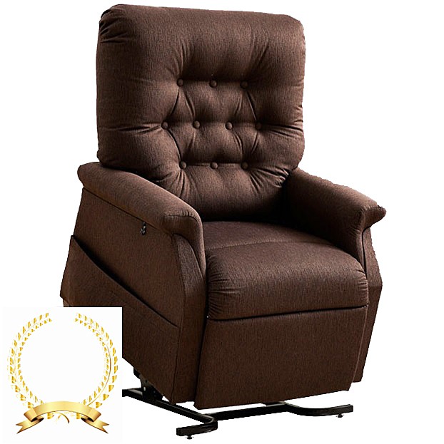 Ashton Luxe PR-458 3-Position Power Lift Chair Recliner