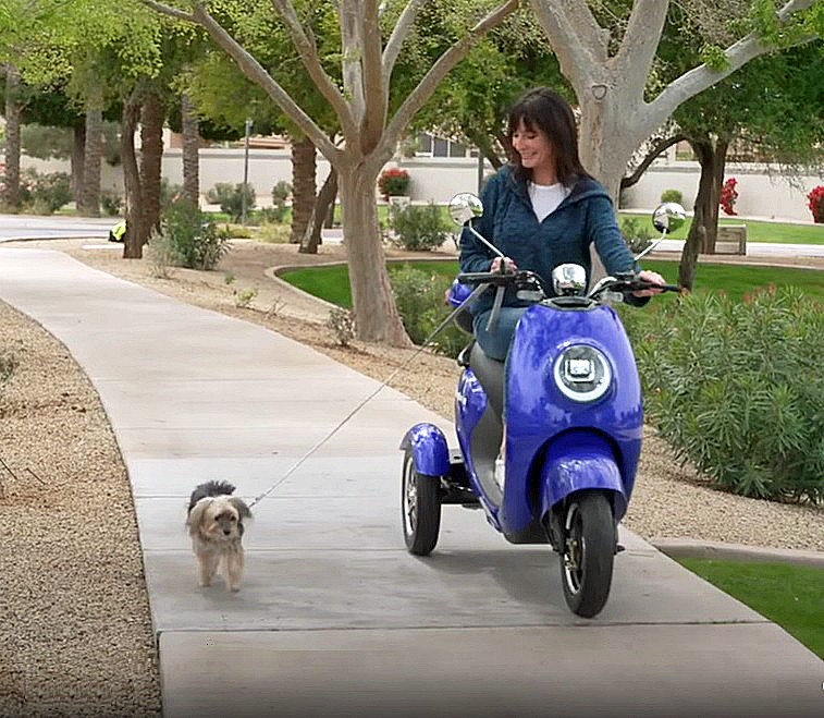 EW-Bugeye Recreational Scooter - Best Friends Taking a Ride and a Walk Together