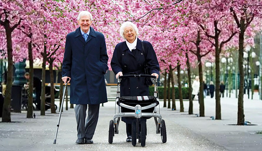 Couple Enjoying a Walk in The Park 