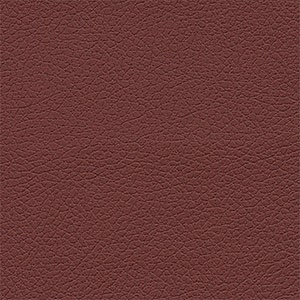 BeetRoot Faux Leather